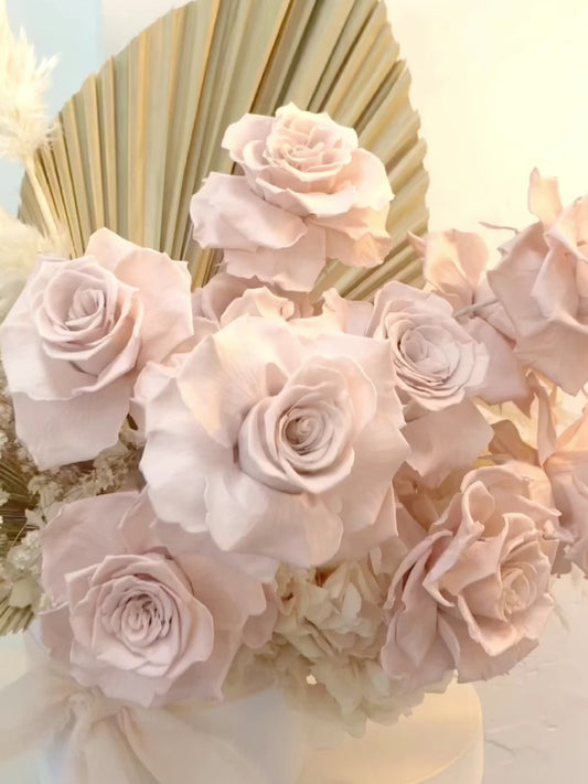 A dozen soft pink roses in blush for Valentine’s Day. Delivered by Newcastle Dried Flower co.