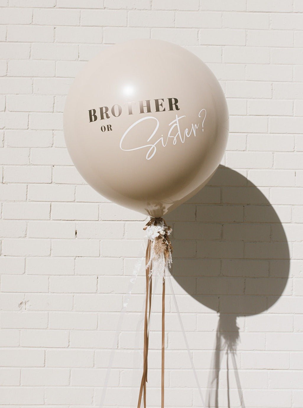 Brother or Sister? / Gender Reveal Balloon / by Newcastle Dried Flower Co