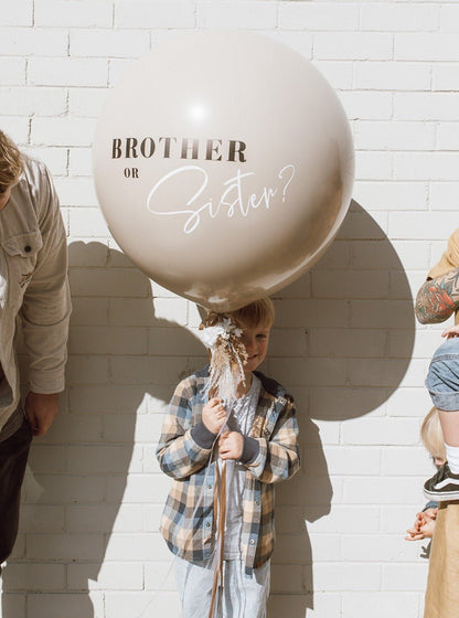 Brother or Sister? / Gender Reveal Balloon / by Newcastle Dried Flower Co